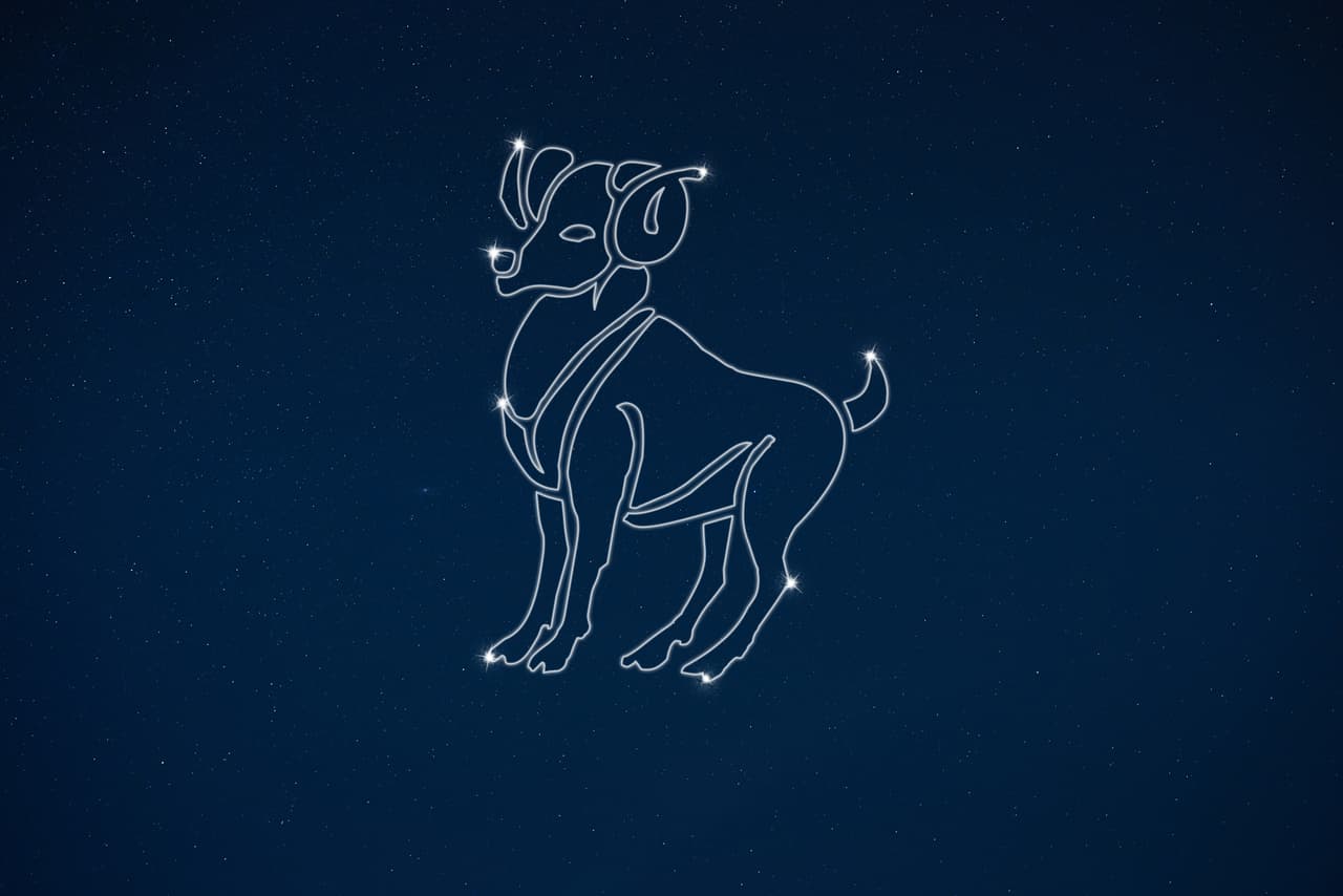 <b>ARIES</b>
<br>El signo Aries es el primero del zodíaco y cuando ha dicho alguna mentira y es sorprendido o descubierto, no lo soporta. Le veremos morderse los labios, enrojecer de cólera y al mismo tiempo tratar de justificarse, aunque no muy bien puesto que su enfado será tal que no podrá encontrar las palabras precisas.