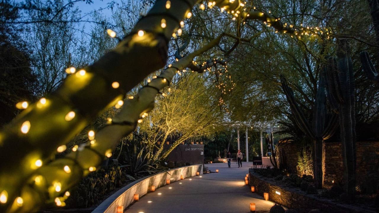 <b>La Noche de las Luminarias</b>
<br>Cuándo: 24 de noviembre al 30 de diciembre 
<br>Dónde: Desert Botanical Garden, 1201 N. Galvin Parkway, Phoenix
<br>Costo: A partir de $16.95
<br>
<a href="https://dbg.org/events/las-noches-de-las-luminarias-3/2023-11-24/" target="_blank">Más detalles en este enlace.</a>