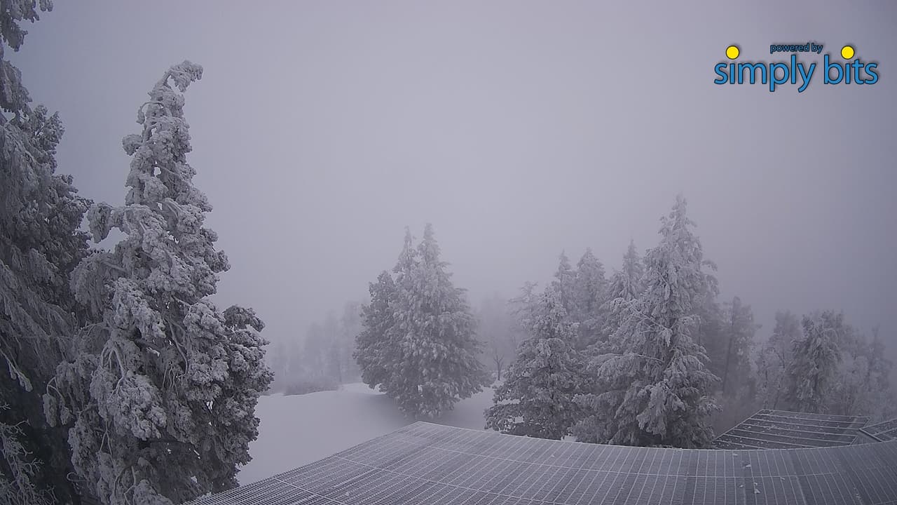 “El Servicio Meteorológico Nacional anticipa que la segunda tormenta, prevista para el lunes por la tarde y la madrugada del miércoles, será la tormenta de invierno más impactante desde febrero de 2019”, indica el Departamento del Sheriff del Condado de Pima. 
<br> 
<br>