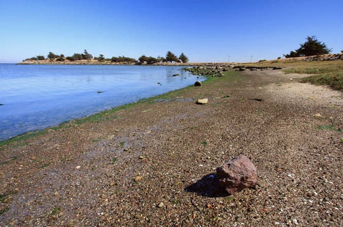 9. 
<b>Candlestick Point en Windsurfer Circle en San Francisco:</b> “La agencia de monitoreo local ha declarado que no hay desagües pluviales en el área y no se ha identificado una fuente de contaminación bacteriana”.