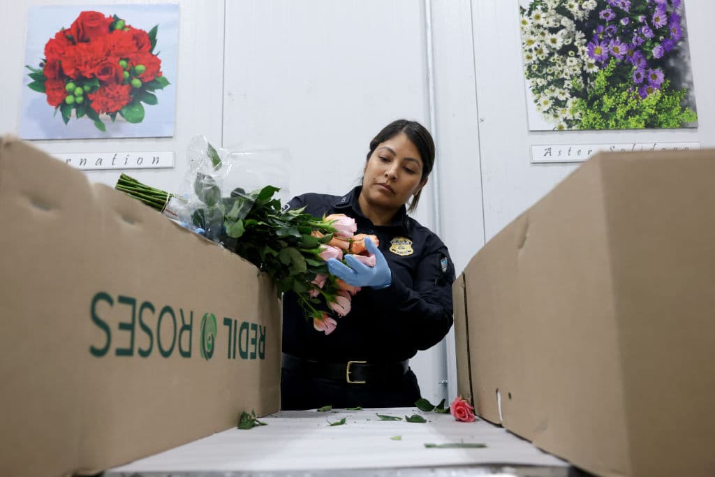 “Las especies invasoras han causado pérdidas económicas y ambientales anuales de 120.000 millones de dólares a Estados Unidos, incluyendo pérdidas de rendimiento y calidad en la industria agrícola estadounidense”, declaró el director del aeropuerto de Miami, Daniel Alonso.