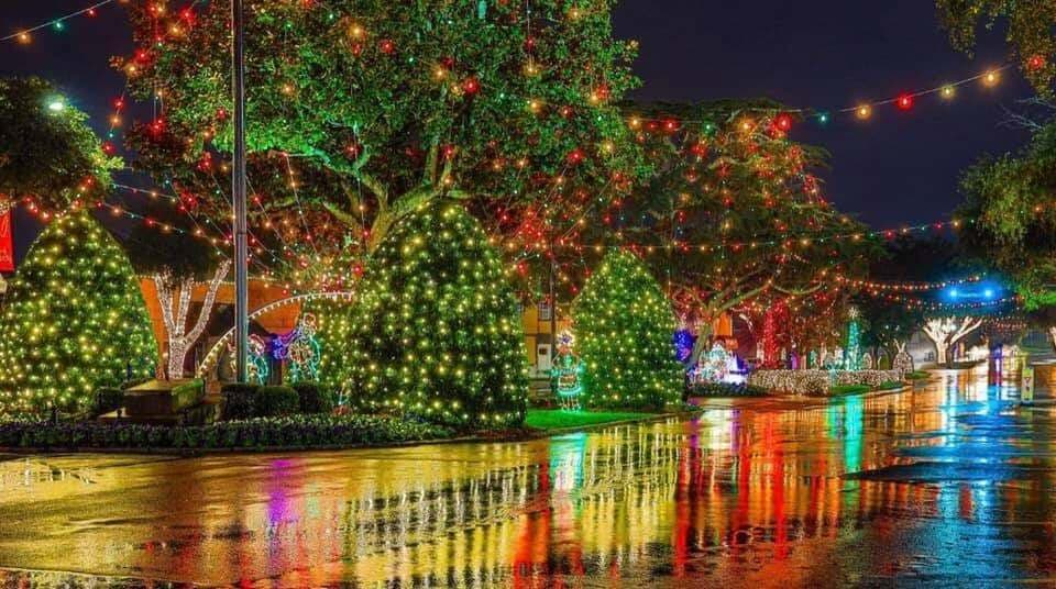 Forest City se ilumina con un millón de luces cada Navidad. Puedes conducir o caminar por Main Street y disfrutar de las luces que cuelgan del techo y envuelven los árboles hasta donde alcanza la vista.