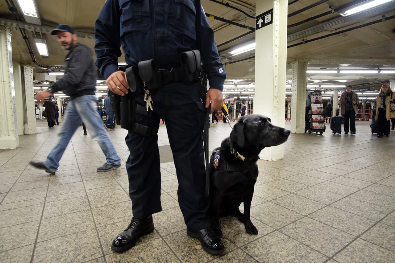 Debido al incremento de la criminalidad en el metro, ahora cada tren será vigilado por un oficial del departamento.