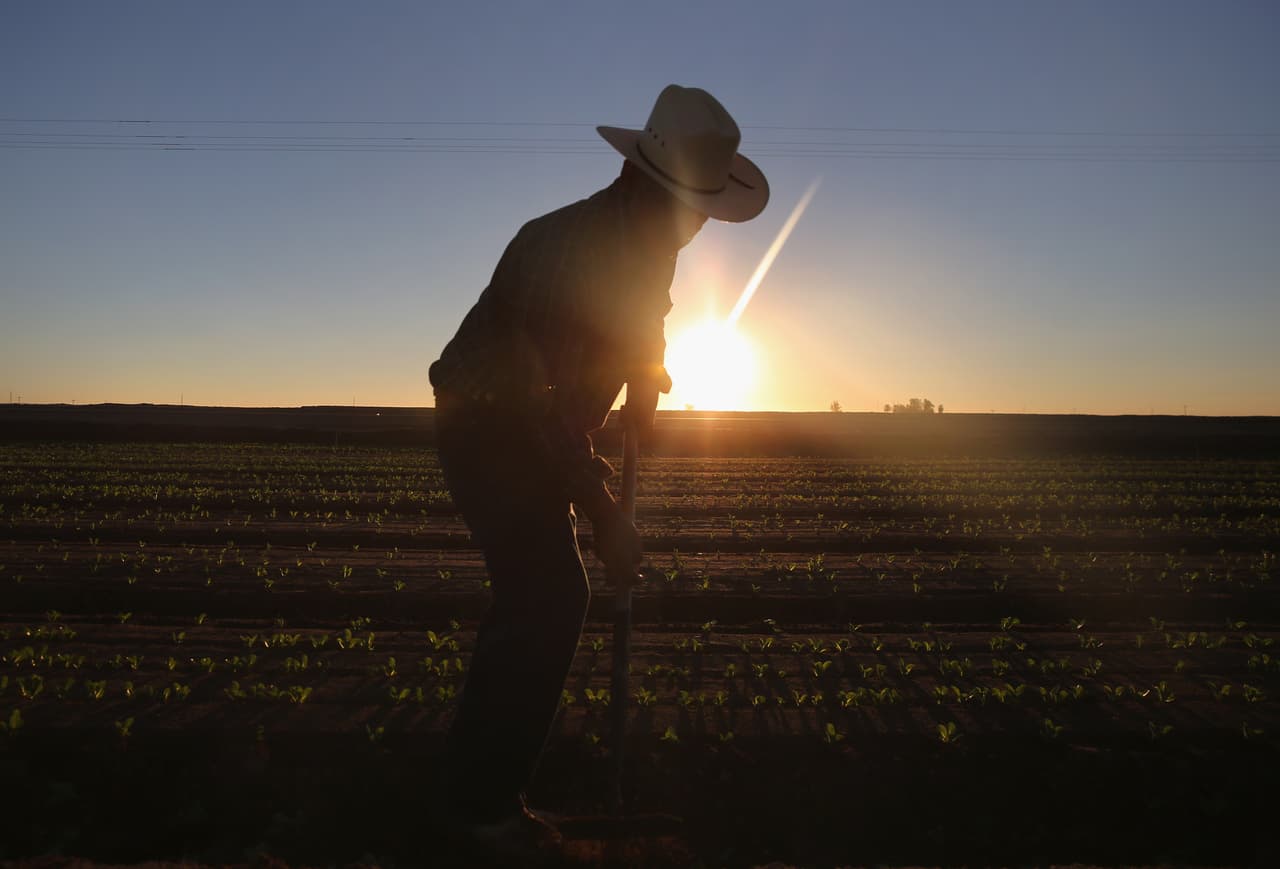 Si trabajas en los campos, techos o jardines, sigue estas recomendaciones durante la ola de calor