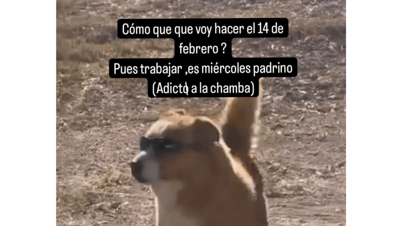 Con memes, redes sociales celebran el Día de San Valentín.