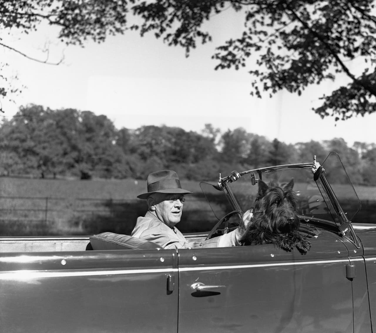 Franklin Delano Roosevelt junto a 'Fala', una 
<i>Scottish Terrier</i>. Este mandatario tomó el poder después de Hoover y tuvo en total siete perros.