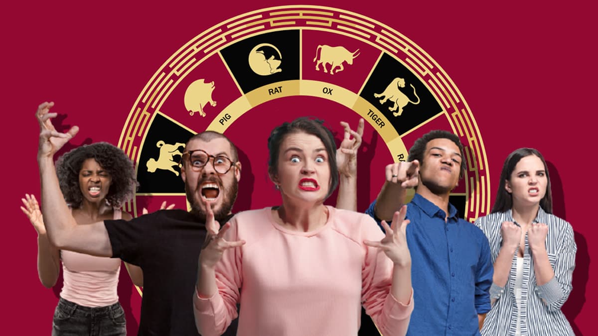Todos los meses, cuando revisas los pronósticos del mes para tu signo chino, encuentras el nivel de compatibilidad que existe en el mismo con los demás signos. Sin embargo, como tendencia general, cada signo chino tiene un "nadir o némesis", o sea, el signo que le saca de quicio, con quien existe poco en común, y con el cual es muy difícil la convivencia.