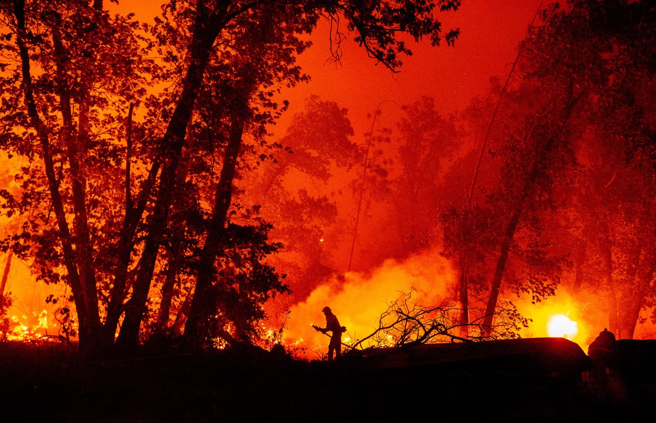 Hasta este lunes, CalFire reporta más de 78,000 acres destruidos con 0% de contención. Más de 500 efectivos de bomberos trabajan en el área por tierra y por aire tratando de detener las llamas que han convertido a la zona en un verdadero infierno.
<br>
<br>