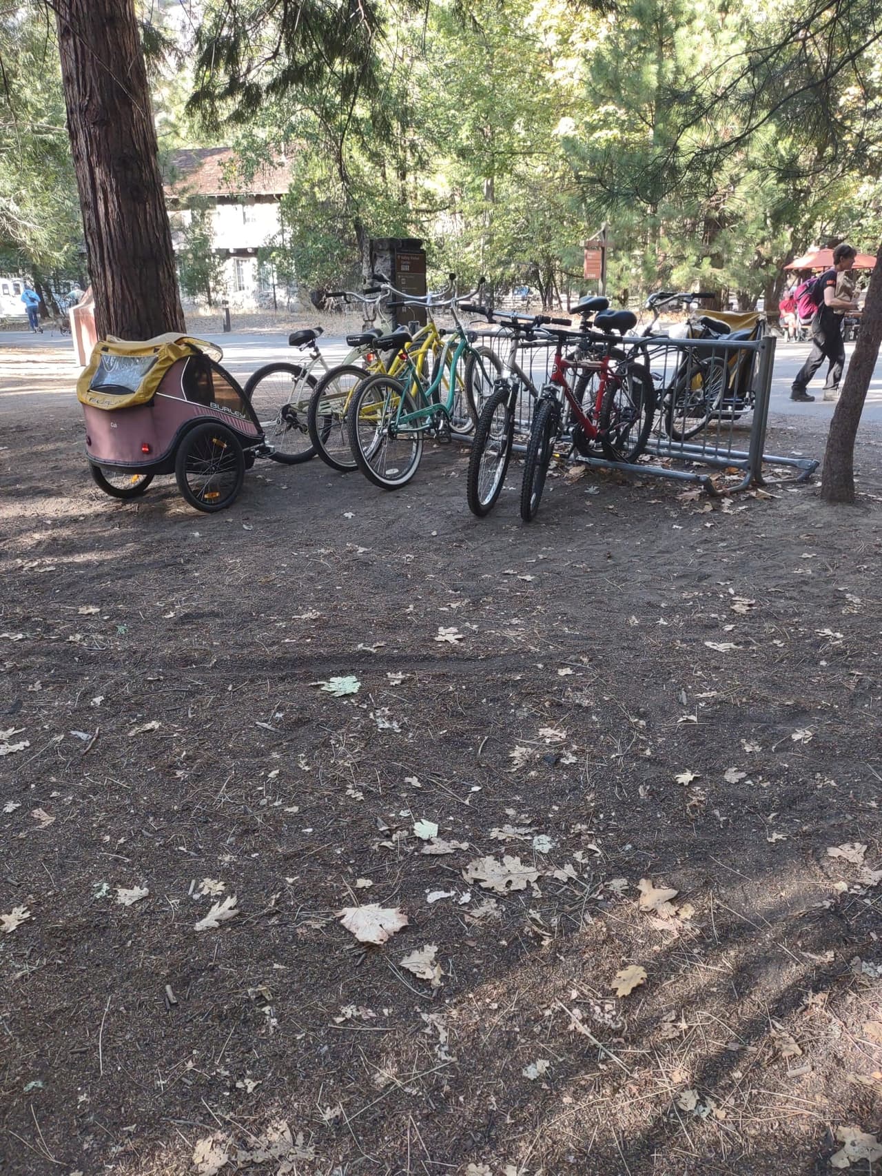 Dentro del Parque Nacional de Yosemite encontrarás renta de bicicletas y lugares para dejarlas con seguridad.
