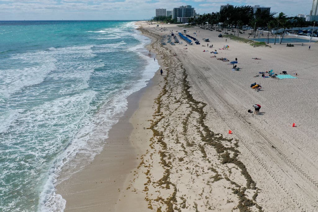 Murió ahogado un hombre que intentaba salvar a su hija en una playa
