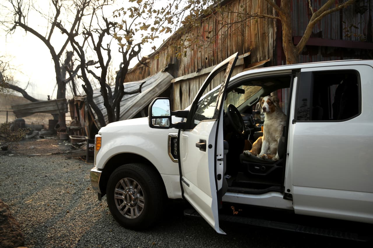 El rancho Oak Ridge Angus a un costado de la carretera 128, en el condado de Sonoma, fue uno de los que fueron arrasados por las llamas del incendio Kincade.