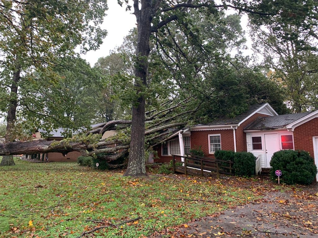 La estructura de una residencia ubicada en el '119 3rd Street NE' se vio visiblemente afectada por la caída de un árbol.