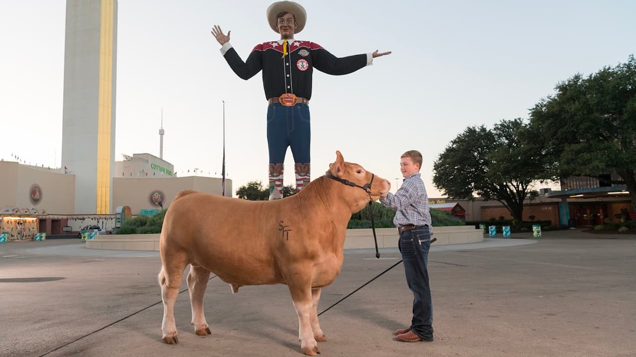 <b>Información y precios de los puestos de estacionamiento</b> en la Feria Estatal de Texas 2023: 
<br>La Feria cuenta con varias opciones de estacionamiento, los organizadores recomiendan utilizar el de la 
<b>Puerta DOS, en el 925 S. Haskell, tiene un costo de $20 por auto</b>. 
<br>
<b>Ofrecen una opción Premium, tiene un costo de $40 por aut</b>o, y la entrada está disponible por la 
<b>Puerta de Grand Avenue desde Cullum Blvd., y Parry/Haskell los sábados y domingos</b>. 
<br>Hay lugares para bicicletas en las puertas 5, 6 y 11, se reservan por orden de llegada.