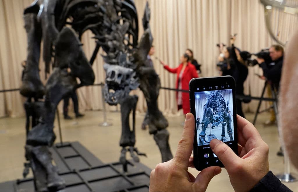 La venta del espécimen generó preocupación en la comunidad paleontológica por el aumento en los precios de fósiles y su impacto en la investigación académica. Sin embargo, el museo indica que el acuerdo garantiza el acceso público y científico al espécimen durante el período de préstamo.