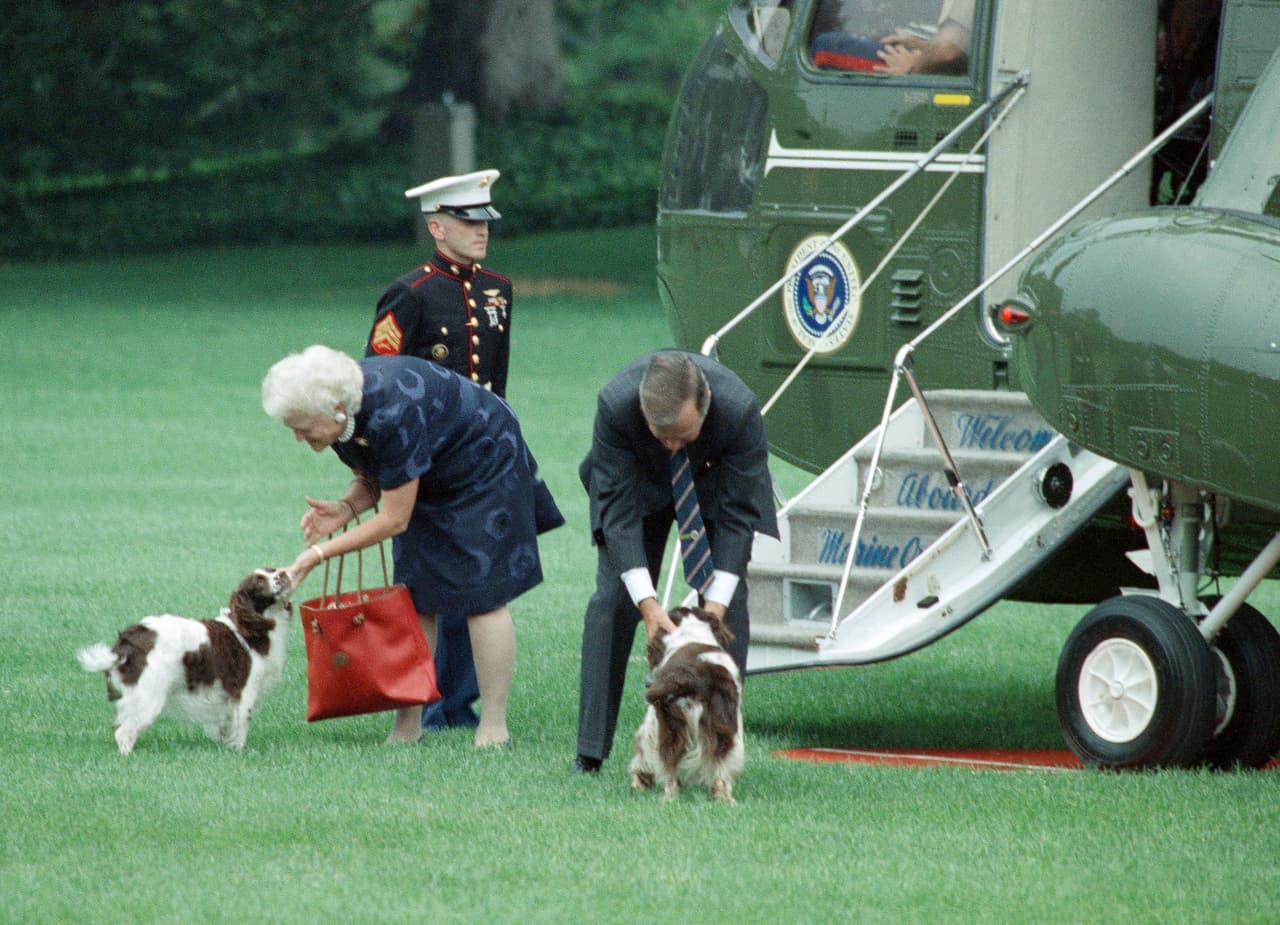George H. W. Bush, sucesor de Reagan, tuvo dos perros de raza 
<i>English Springer Spaniel</i>. Se llamaban 'Millie' y 'Ranger',