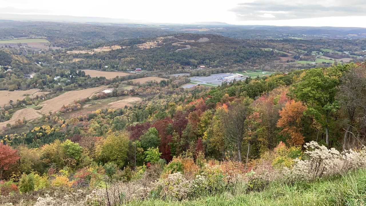Durante esta época del año se pueden disfrutar hermosos paisajes en varios lugares del estado. Algunos están al interior de la ciudad de Filadelfia.