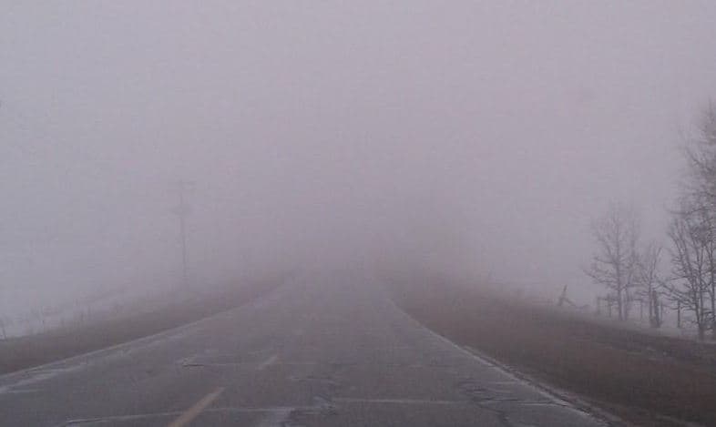 Sigue estos consejos para conducir en la neblina y evitar un accidente 
