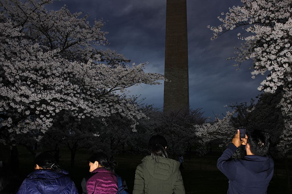 Una vez al año, la naturaleza ofrece este regalo que familias como esta buscan atesorar en sus memorias. Cabe resaltar que no hay un horario estricto para disfrutar de la floración de los 'cherry blossoms' en la capital federal de los Estados Unidos. Lo único que está prohibido es arrancarles las flores o ramas.