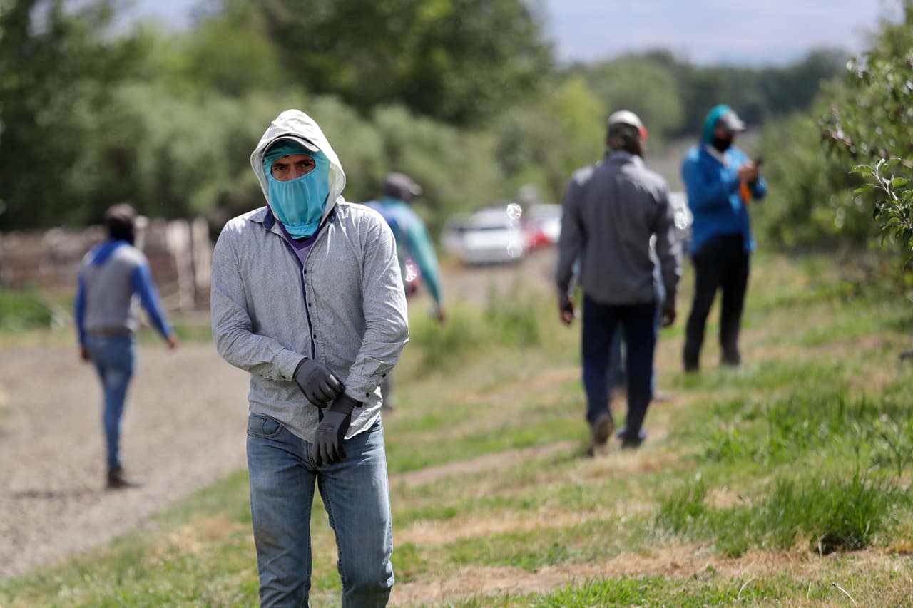 El Coronavirus golpea el condado de Yakima con fuerza. Está situado una 140 millas (225 kilómetros) al sudeste de Seattle, Washington, y allí el covid-19 se ha propagado más rápidamente que en el resto del estado. La mitad de los contagiados son hispanos, quienes realizan la mayor parte de los trabajos agrícolas. 
<a href="https://www.univision.com/noticias/salud/mapa-actualizado-del-coronavirus-cifras-de-casos-confirmados-y-fallecidos"><u>Vea aquí nuestro mapa actualizado del coronavirus: cifras de casos reportados, fallecidos y recuperados</u></a>
<br>