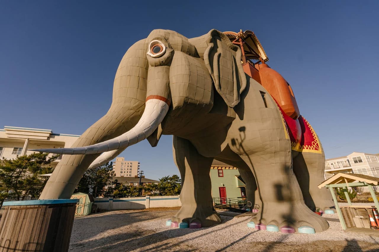El objetivo de mostrar a Lucy en la lista de rentas de Airbnb es una estrategia de marketing para una mayor exposición del lugar.