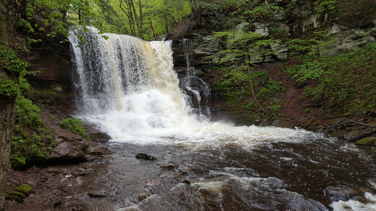 <b><a href="https://www.dcnr.pa.gov/StateParks/FindAPark/RickettsGlenStatePark/Pages/default.aspx">Ricketts Glenn State Park</a></b>: Ricketts Glen State Park es una de las áreas más pintorescas de Pensilvania. El gran parque se compone de 13,050 acres y alberga el Área Natural Glens, un Monumento Natural Nacional. El parque alberga el increíble y muy popular Falls Trail, que cuenta con una serie de cascadas que fluyen libremente, cada una de las cuales cae a través de hendiduras cubiertas de rocas en esta antigua ladera. Las Cataratas Ganoga de 94 pies son las más altas de 22 cascadas con nombre. Ricketts Glenn tiene muchas opciones para acampar, incluidas mascotas, y es uno de los parques favoritos por sus rutas de senderismo, pesca, playa para nadar y más.