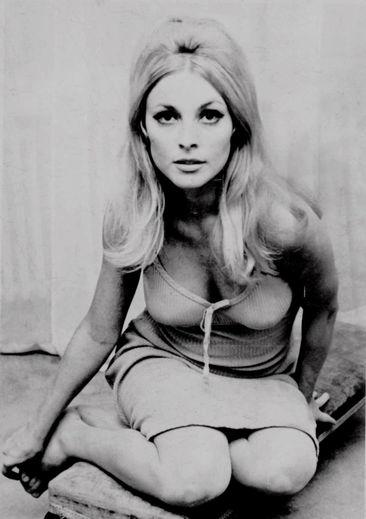 Fotografía sin fecha de Sharon Tate. La actriz estaba embarazasa de ocho meses cuando fue asesinada en su casa de Beverly Hills. La acompañadan tres amigos que también murieron ese día.