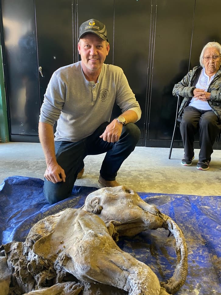 "Restos momificados con piel y cabello son raramente desenterrados", subrayó el gobierno de Yukon, un territorio conocido en el mundo por sus fósiles de animales de la era glaciar.
<br>
<br>En la imagen, la cachorra de mamut y Brian McCaughan, uno de los mineros que la encontró.
<br>