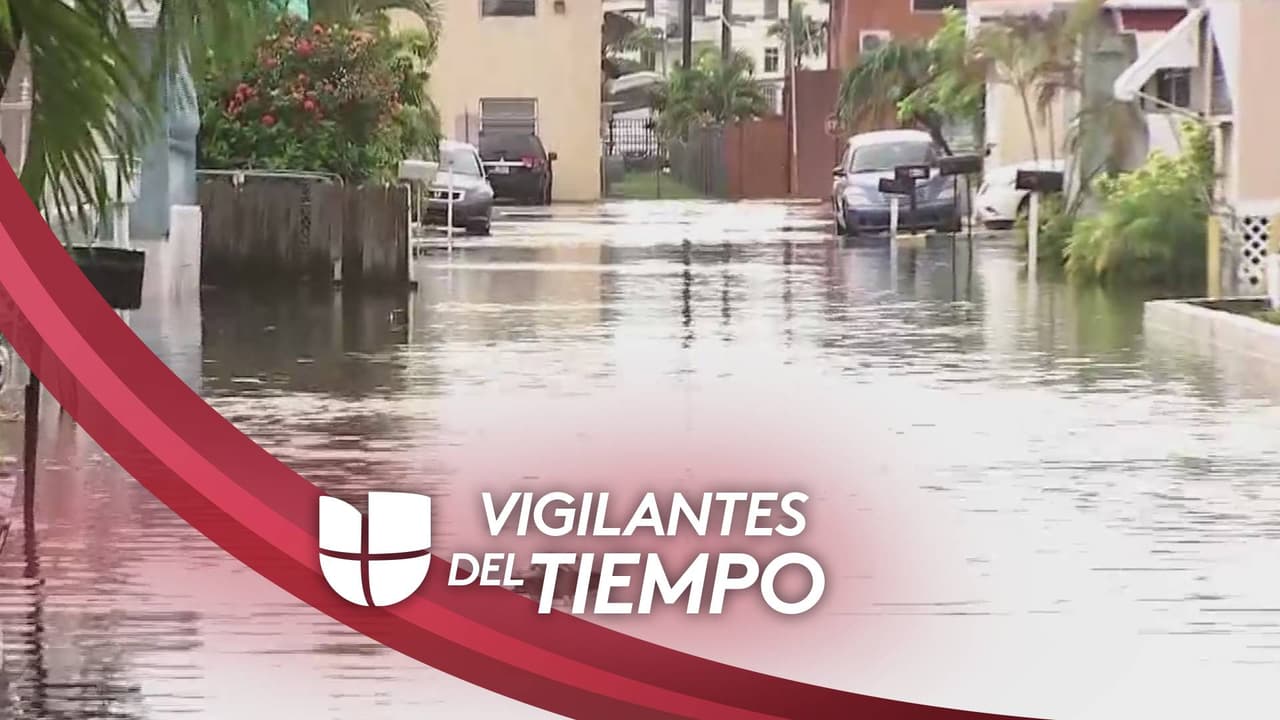 En Hialeah una de las áreas más afectadas fue un complejo de casas móviles, llamado Hialeah-Holiday Acres, donde desde el viernes se vieron calles inundadas. 
<br>
