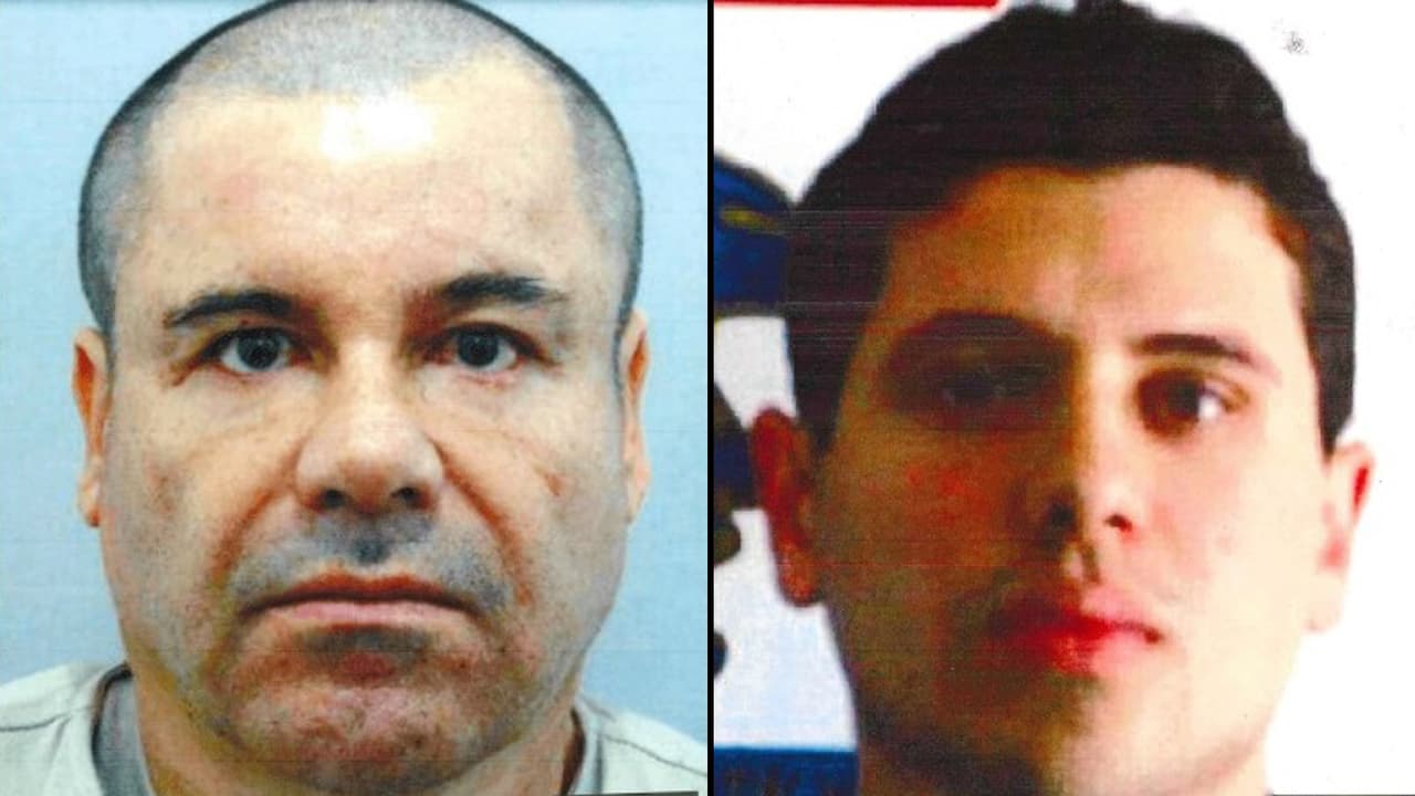 ‘Los Chapitos’, como les dicen, crecieron entre rifles, fajos de dinero ilícito y tabiques de droga. Tres de ellos nacieron en Sinaloa, la cuna del narcotráfico mexicano; y uno más en Jalisco.