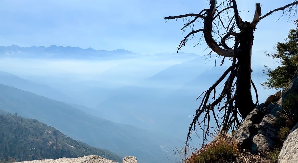 El camino hacia la cima es relativamente seguro y es apto para todo tipo de público. Sin embargo, entre más avances encontrarás caídas pronunciadas, terreno irregular, pequeñas colinas, rocas y raices.