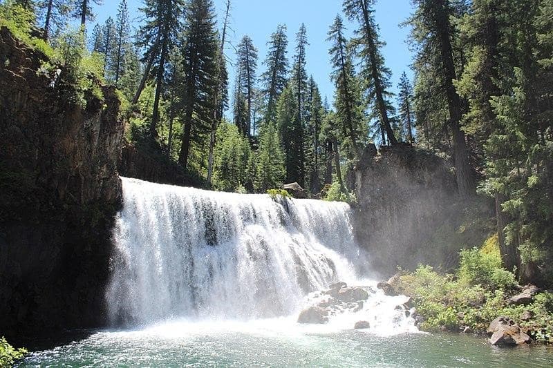 <a href="https://mountshastatrailassociation.org/trails/mccloud/mccloud-rivers-three-waterfalls/" target="_blank">McCloud Falls</a> es una serie de tres cascadas principales en el río McCloud, las cuales se conocen como Lower Falls, Middle Falls y Upper Falls. La catarata inferior es una amplia cascada en donde se permite nadar, con una caída de 12-15 pies. La catarata del medio presenta una caída ancha con 50 pies de alto y al menos el doble de ancho. Por último, la catarata superior está conformada por distintas caídas que conforman un hermoso paisaje.