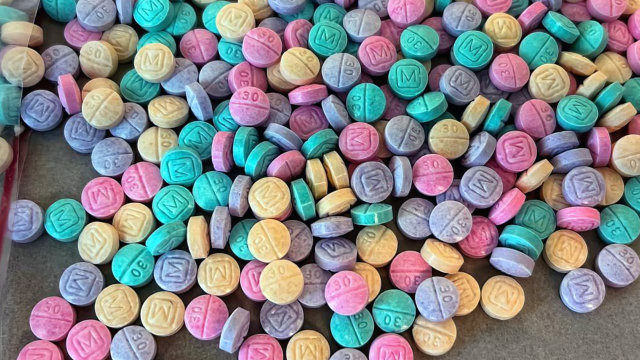 Qué es la xilacina, el tranquilizante para animales que eleva las muertes por opioides adulterados en EEUU