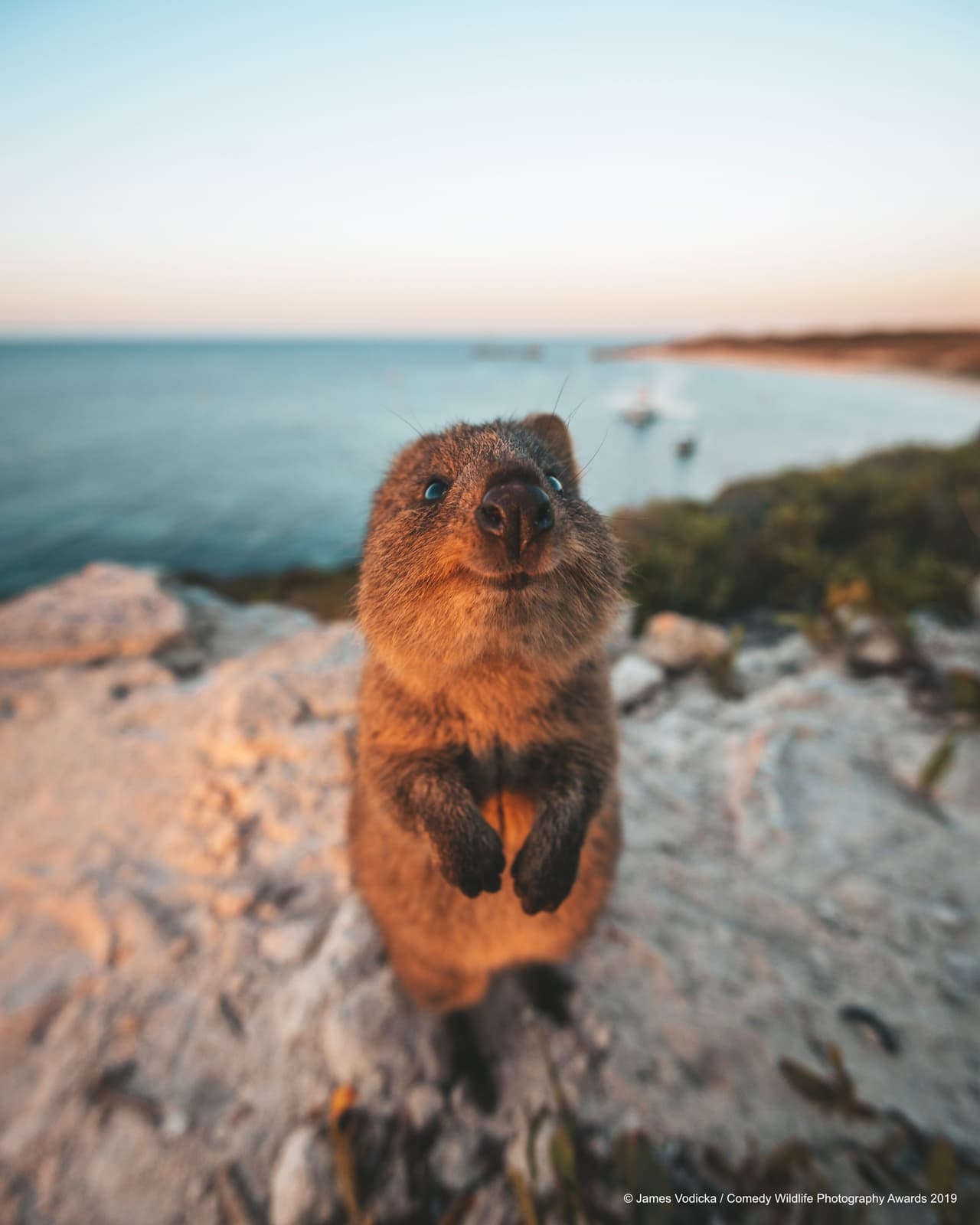 Tómame una foto, pero que no me vea gordo
