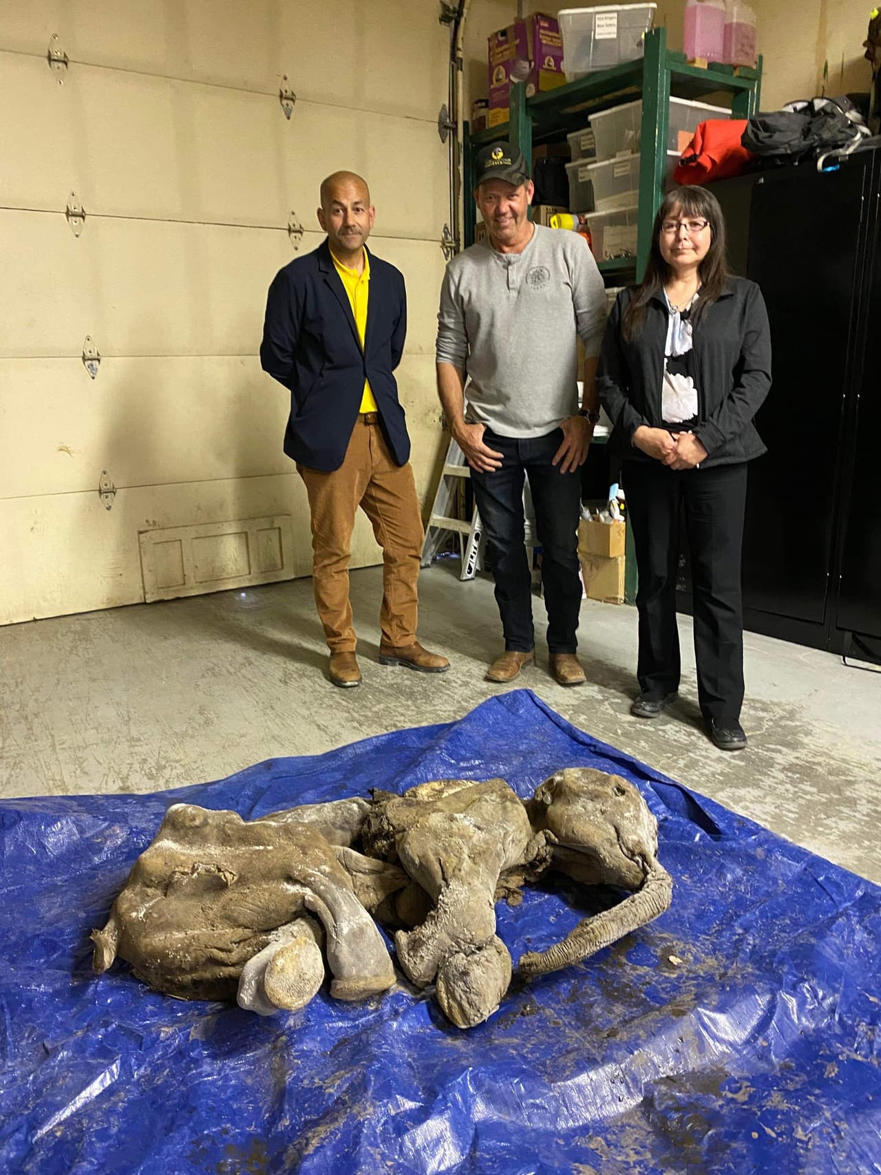Los restos momificados de 
<b>una bebé mamut lanudo prácticamente completo, con la piel y el pelo intactos</b>, fueron hallados en unas minas auríferas en el norte de Canadá, en uno de los 
<a href="https://www.univision.com/explora/encontraron-un-cachorro-de-lobo-momificado-tiene-mas-de-50-mil-anos-pero-parece-dormido">grandes descubrimientos de estos animales</a> de la Era del Hielo.
<br>
<br>En la foto, Nun cho ga, el mamut lanudo bebé momificado, con la jefa Roberta Joseph, el ministro Ranj Pillai y Brian McCaughan.
<br>
<br>