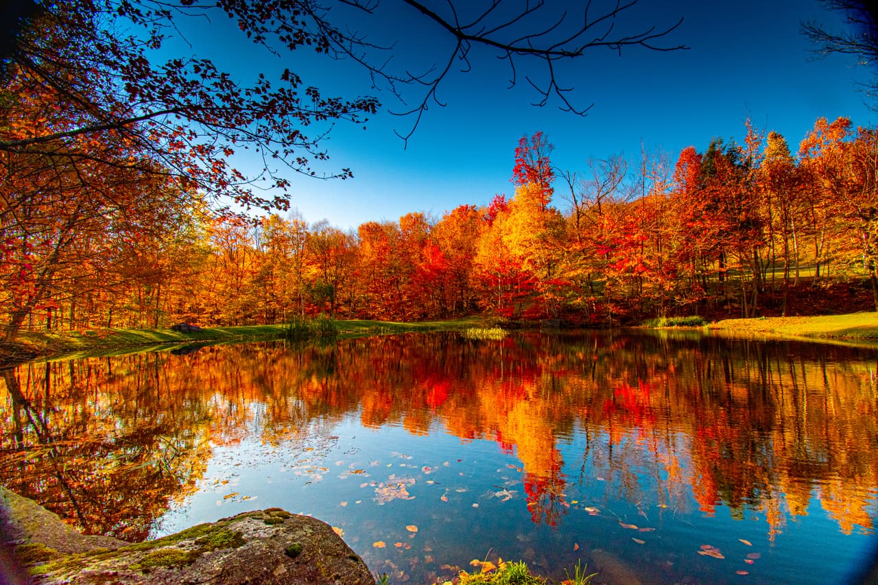 <h3 class="cms-H3-H3">23. Vermont</h3>
<br>
<br>El incremento previsto del salario mínimo por hora en Vermont será de $12.55 a $13.18, según Bloomberg Tax calculations. 
<br>