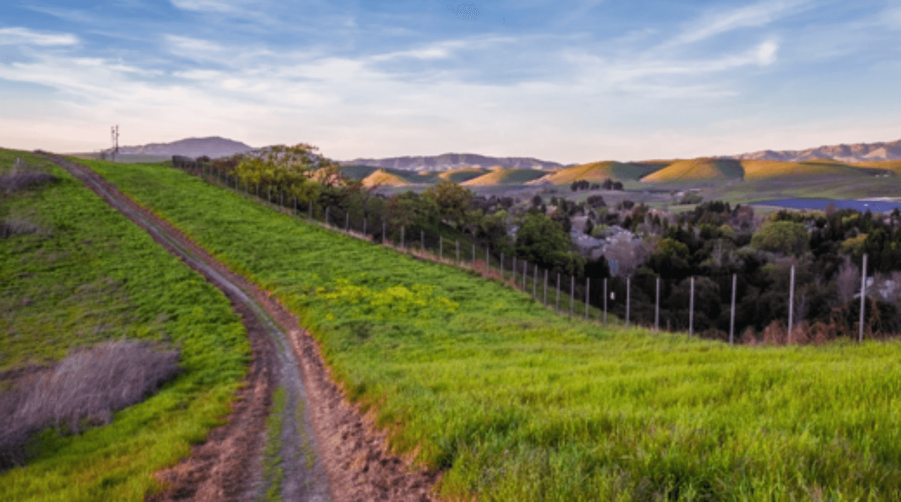 <h3 class="cms-H3-H3">3. Dublin, California</h3>
<br>
<br>👉 
<b>Población de origen extranjero (2020): </b>38.8% (+6.9% desde 2016)
<br>
<br>👉
<b> Mayor grupo de inmigrantes:</b> hindúes.
<br>
<br>👉
<b> Otros grupos de inmigrantes: </b>chinos, filipinos, coreanos.
<br>
<br>👉 
<b>Población total: </b>63,586 habitantes.
<br>