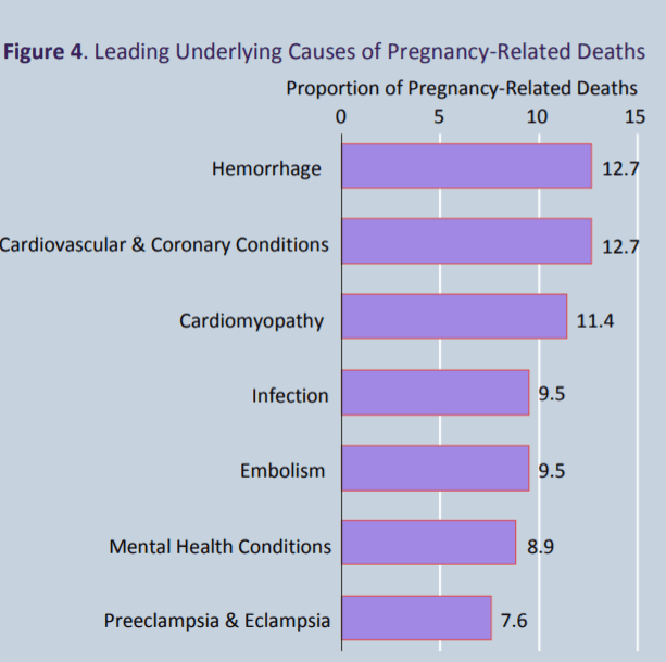 Estas son las causas principales de muertes asociadas al embarazo según un reporte del Maternal Mortality Review Report.
<br>
