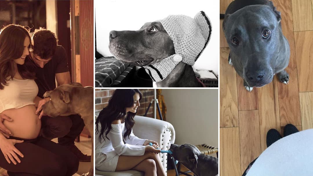 Critican a Zuria en redes sociales por poner a su hija junto a un Pit Bull