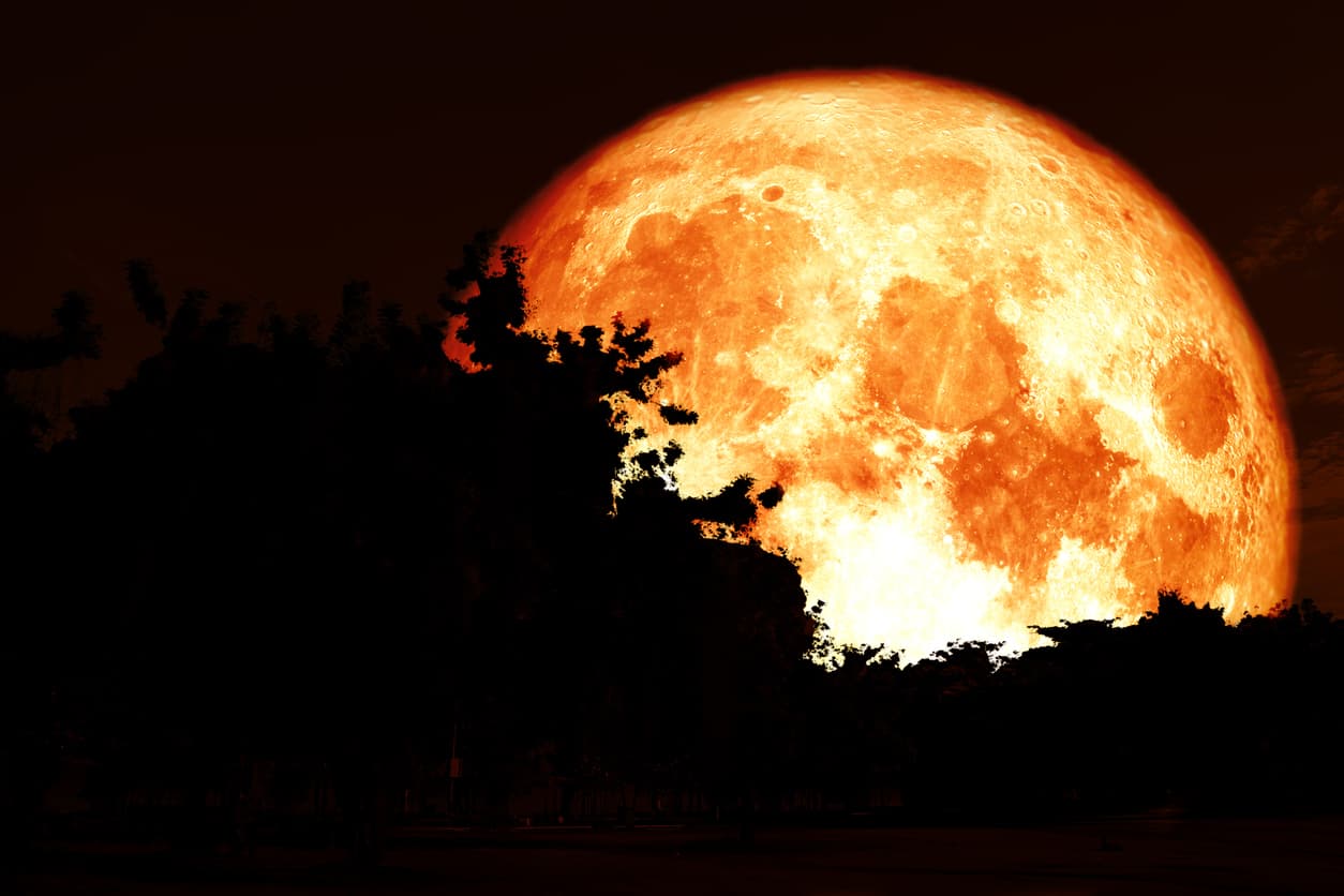 Cómo ver la 'Luna del Cazador' este domingo (y qué otros eventos astronómicos quedan este año)