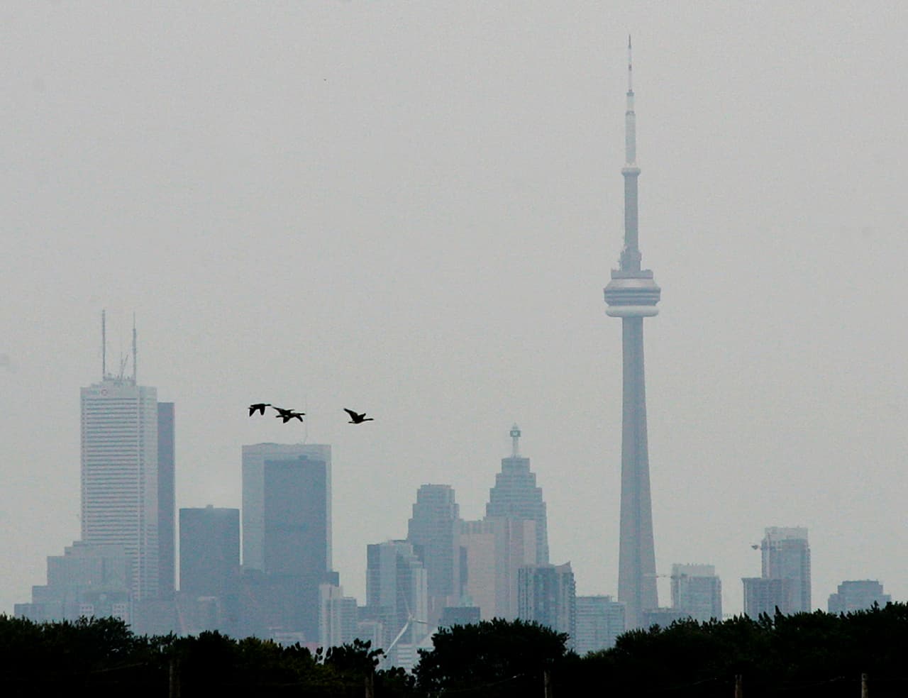 Canadá quiere 1.5 millones de nuevos inmigrantes para 2025: te contamos las razones