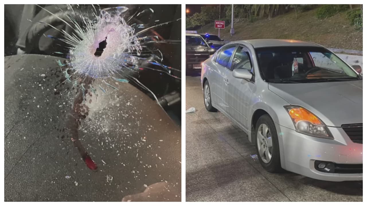 De acuerdo con la Patrulla de Carreteras de Florida, la mujer dijo que una de las balas que dispararon del Mercedes Benz le dio al parabrisas de su auto, y los vidrios la hirieron en la frente. Fue tratada en la escena por rescatistas de los bomberos de Miami-Dade. 
<br>