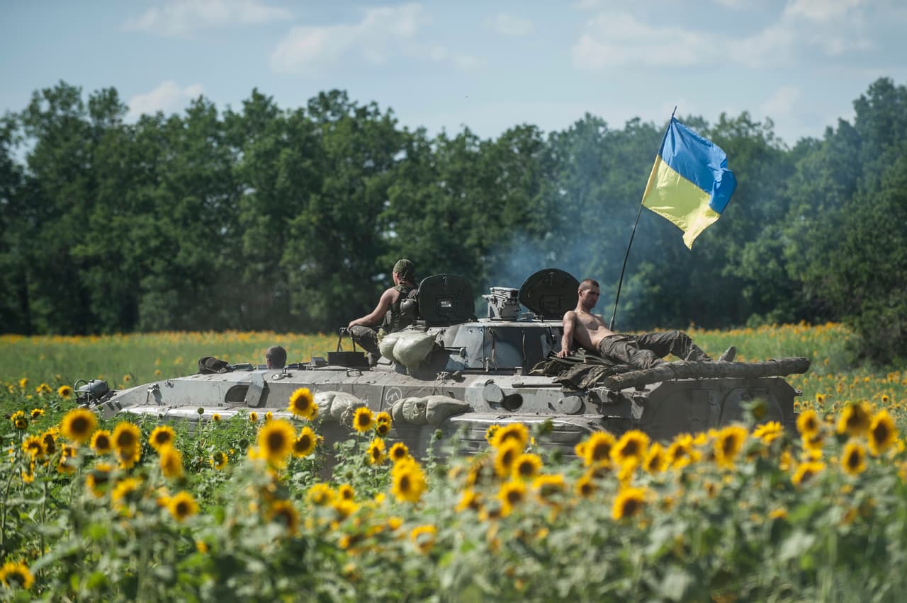 Occidente teme que “lo peor está por venir” en Ucrania. El mandatario ucraniano Zelensky se ha vuelto la cara más visible de la resistencia ucraniana. "Somos una nación que desbarató los planes del enemigo en una semana", dijo Zelensky cuando se cumplen siete días del inicio de la invasión. 
<br>
<br>Mientras, en este escenario de guerra, los girasoles proliferan en el mundo. En esta foto de 2014, 
<a href="https://www.univision.com/noticias/mundo/invasion-ucrania-guerra-agua-crimea">año en que Rusia invadió la península de Crimea y se la anexó al territorio</a>, se veían a tropas ucranianas en Kryva Luka, descansando sobre un vehículo militar en medio de un campo con girasoles, tras pelear contra las milicias prorrusas.