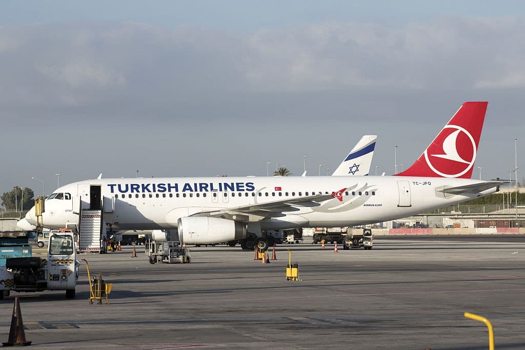 Un pasajero que es médico intentó ayudarla: qué se sabe de la niña que murió en un vuelo de Estambul a Nueva York