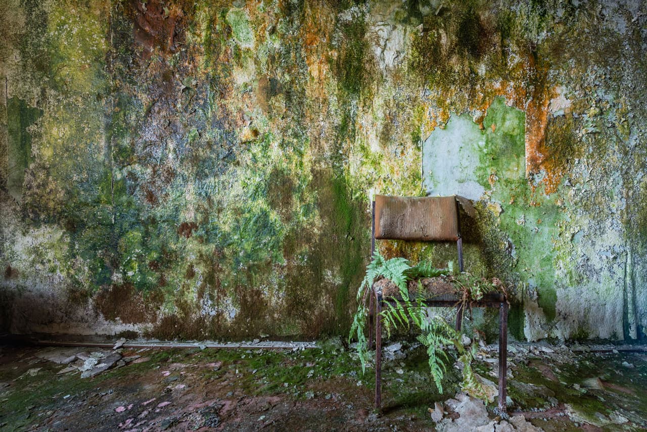 “Algunas fotos tienen un claro mensaje medioambiental”, explica el autor. “Me siento testigo de una naturaleza que siempre encuentra la manera de crecer y expandirse a pesar de las construcciones humanas”, agrega.