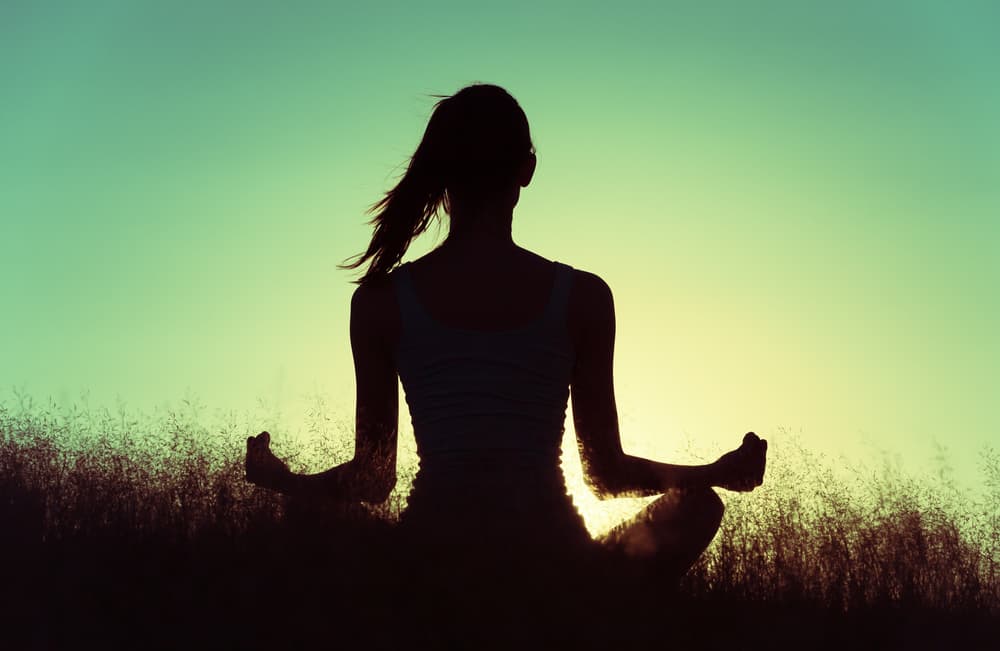 O sea, biológicamente es una cadena, yang-yin, excitación e inhibición, un legado de la antigua sabiduría yoga que procede desde tiempos milenarios y que no ha perdido su vigencia. Cuando entendemos estos procesos comprendemos mejor nuestra naturaleza y la naturaleza de lo que nos rodea.
