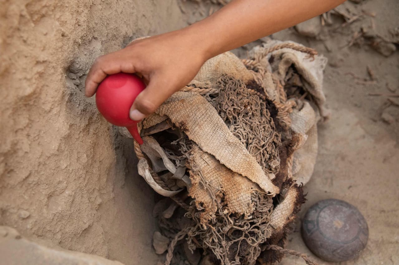Los expertos manipulan cuidadosamente los fardos de algodón donde fueron envueltos los niños. 
<br>
<br>Junto a los pequeños también hallaron los restos óseos de siete adultos, posiblemente parte del grupo de sirvientes y otros familiares que fueron sacrificados para acompañar en su viaje “al mundo de los muertos” al personaje principal de la tumba, un hombre de la ‘élite’ de la comunidad.