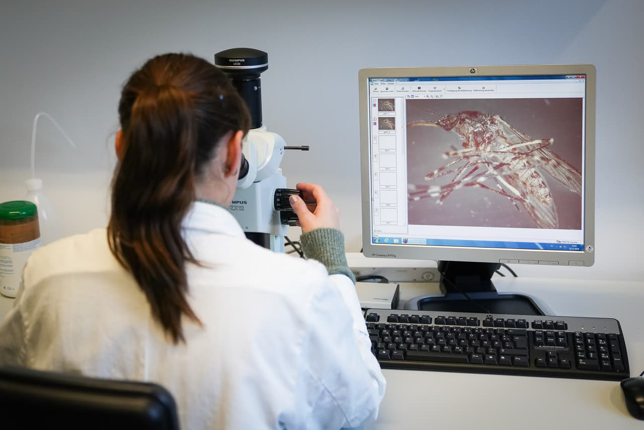 Para más información sobre esta enfermedad y si desea reportar infestaciones de mosquitos puede visitar la página 
<a href="http://publichealth.lacounty.gov/media/westnile/">http://publichealth.lacounty.gov/media/westnile/</a>