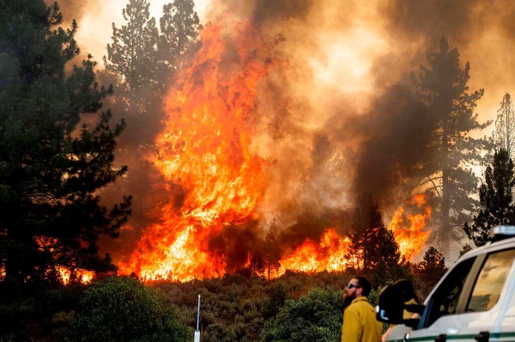 Varios incendios castigan el oeste del país y fuerzan evacuaciones en medio de la ola de calor