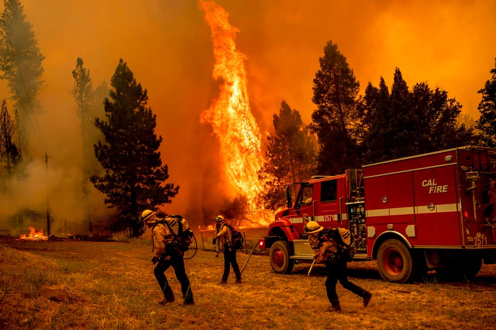 En el incendio trabajan 2,500 bomberos, 281 camiones de bomberos y 17 helicópteros, informó Cal Fire en su reporte de la mañana del lunes.