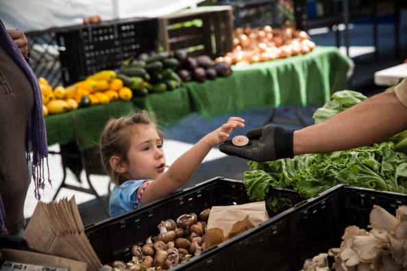 Estos programas ofrecen diferentes tipos de comidas, desde alimentos para recién nacidos y hasta vegetales, proteínas. Se trata de ayuda federal y estatal y cada programa tiene sus propias condiciones y te las explicamos a continuación.
